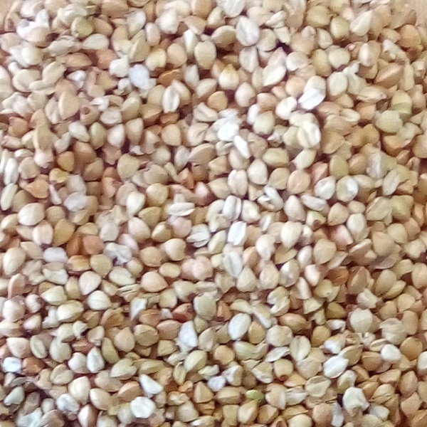 Çiğ Karabuğday Tane